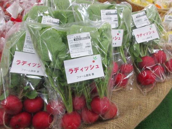 ラディッシュ